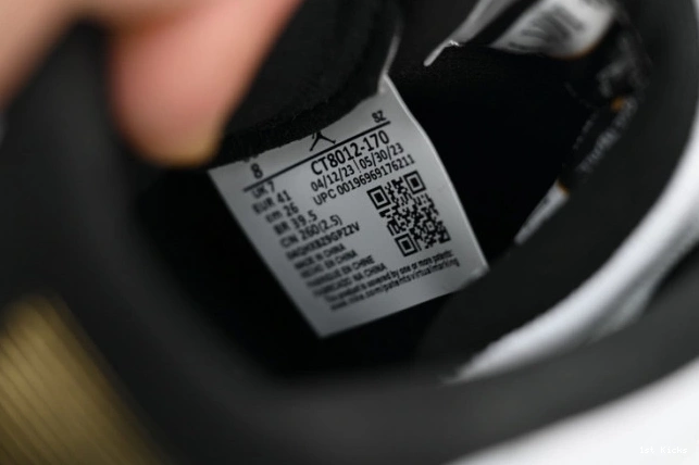 CT8012-170 Jordan Air 11 DMP 0816